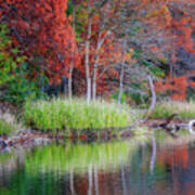 Beavers Bend Fall Foliage Art Print