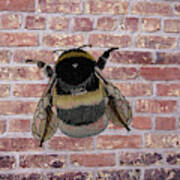 Bee On A Brick Wall Art Print