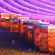 Beehives Of Provence Art Print