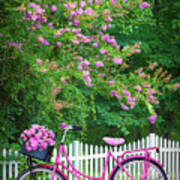 Bicycle By The Garden Fence Art Print