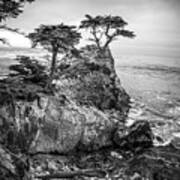 Big Sur 9 Art Print