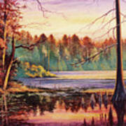 Big Thicket Swamp Art Print