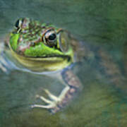 Bill The Bullfrog Art Print