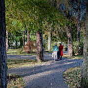Birches Leaves Waltzes In The City Autumn Park /jurmala Art Print