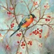 Bird Eating On A Branch Art Print