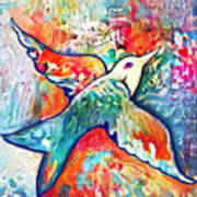 Bird Flying Solo 011 Art Print