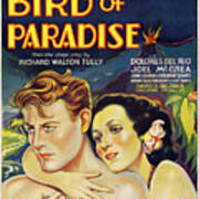''bird Of Paradise'', 1932 Art Print