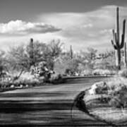 Black Arizona Series - Desert Road Art Print