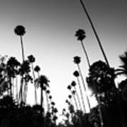 Black California Series - Beverly Hills Nighfall Art Print