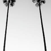 Black California Series - Two Palm Trees Art Print