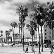 Black California Series - Venice On The Beach Art Print