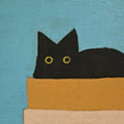 Black Cat In Box Blue Art Print