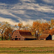 Blackmore Bygone - Abandoned Nd Barn And Homestead Site Art Print