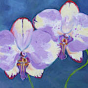 Blood Orchids Art Print