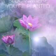 Bloom Where You're Planted Purple Art Print