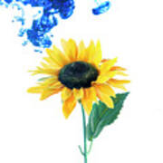 Blue Cloud Descending On The Sunflower Art Print