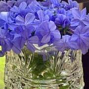 Blue Flowers In Crystal Glass Vase Art Print