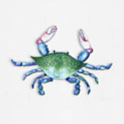 Blue, Green, Red Crab Art Print