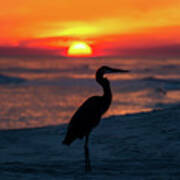 Blue Heron Beach Sunset Art Print