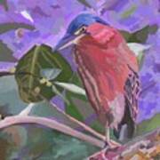 Blue Heron On Branch Art Print