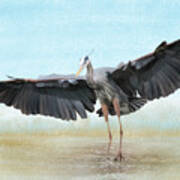 Blue Heron Wings And Surf Art Print