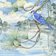 Blue Jay Bayou Art Print