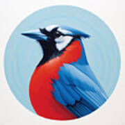 Blue Jay Paintings Art Print