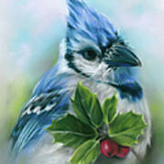 Blue Jay With Holly Art Print