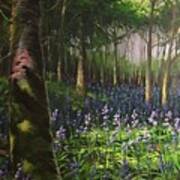 Bluebells In Humewood Forest Art Print