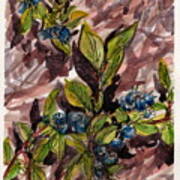 Blueberries And Pine Needles Art Print