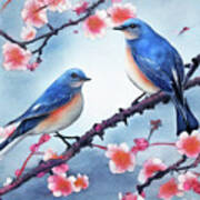 Bluebirds Perched In The Blossoms Art Print