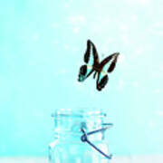 Bluebottle Butterfly Escaping A Blue Mason Jar Art Print