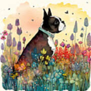 Boston Terrier In A Flower Field Art Print