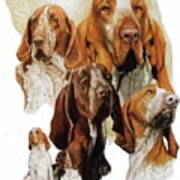 Bracco Italiano Medley Art Print