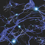 Brain Cells With Electrical Firing Art Print