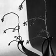 Branch, Vase And Shadow Art Print