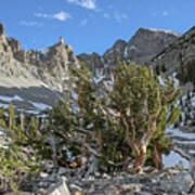 Bristlecone And Cirque - Great Basin National Park, Nevada Art Print