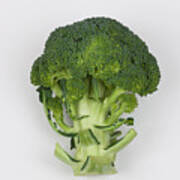 Broccoli Art Print