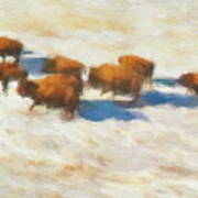 Buffalo Herd In Snow Art Print