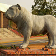 Bulldog At South Carolina State University Orangeburg 2 Art Print
