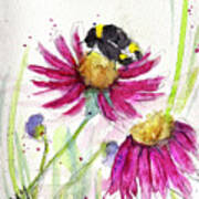 Bumble Bee In The Coneflowers Art Print