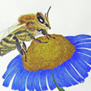 Busy Bee Art Print