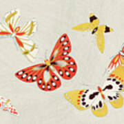 Butterflies #3 Art Print
