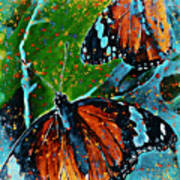 Butterfly Art Art Print