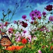 Butterfly Garden Art Print