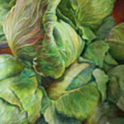 Cabbage Harvest Art Print