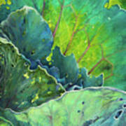 Cabbage Story 2 Art Print