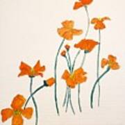 California Poppies Art Print