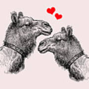 Camel Couple Art Print
