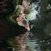 Camellia Immersed Art Print